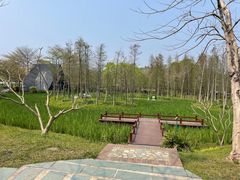 -森波拉奇妙世界