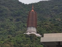-深圳仙湖植物园