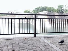 -大阪历史博物馆