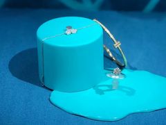-Tiffany & Co.蒂芙尼
(天津万象城店)
