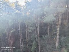 -苍山感通索道