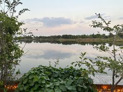 -秋月舫(阳澄湖湖滨中路店)