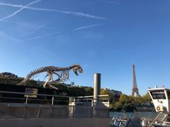 -Bateaux Mouches塞纳河游船