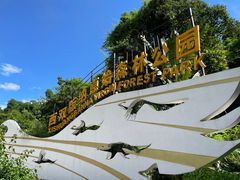 -西双版纳原始森林公园