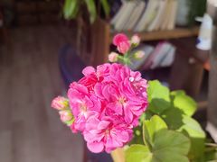 -三仟津花园咖啡馆