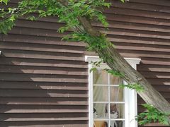 -三鹰之森吉卜力美术馆