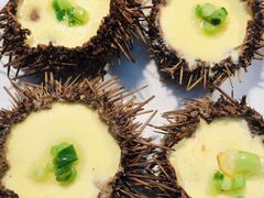 -开海·红岛海鲜虾水饺(石老人店)