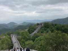 -黄贤森林公园