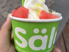 -Salud撒露欧洲冻酸奶(蓝色港湾店)