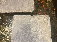 -邈墨茶馆(凤起路店)