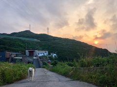 -枸杞岛