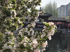 -元大都城垣遗址公园