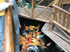 -上海大自然野生昆虫馆(东方明珠·爬宠昆虫探索中心)