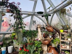 -南宫五洲植物乐园