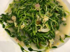 -院子餐厅·大锅菜·老杭帮(桥西直街店)