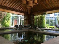 -中家鑫园温泉酒店鑫悦汤泉