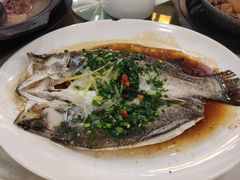 清蒸游龙斑-金城大酒店-中餐厅(汾江中路店)