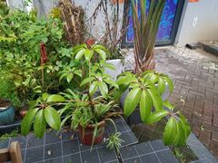 -隐琢咖啡(汉街店)