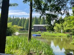 -黄海国家森林公园