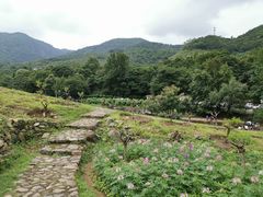 -广州市石门国家森林公园
