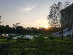 -深圳大学总医院