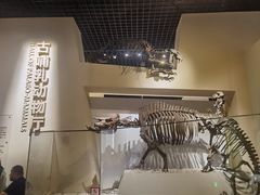 -国家自然博物馆