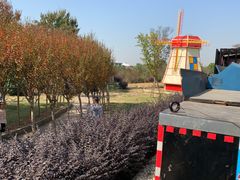 -武汉紫薇都市田园