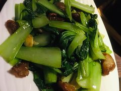 油渣上海青-韵秋荷(宝山龙湖天街店)