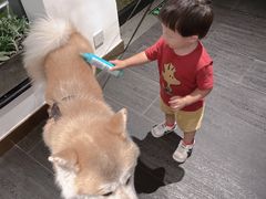 -BOCATA 西班牙餐厅(三里屯店)