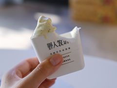 -野人牧坊Gelato(天津南开大悦城店)