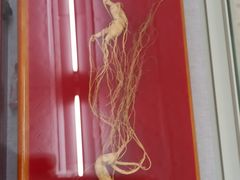 -北京中医药大学-中医药博物馆