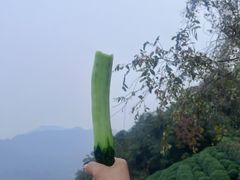 -西湖风景区十里琅珰-五云山