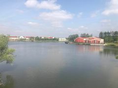 -上海长兴岛郊野公园