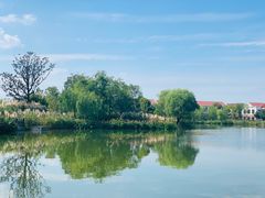 -上海长兴岛郊野公园