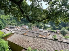 -杨家堂村