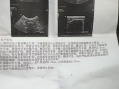 -北京赛佳动物医院