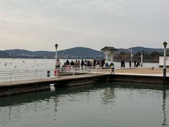 -蠡湖大桥公园