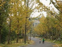 -铁山坪森林公园