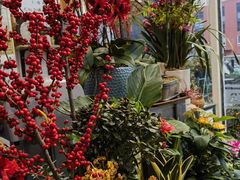 -FEI FEI FLOWER鲜花店·气球派对·宝宝宴布置(虹口德必运动Loft店)