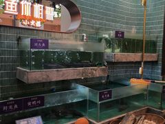 -鱼你相聚·河鲜馆(袁家岭店)