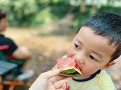 -桤木河湿地公园