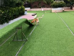 -汪说喵讲宠物乐园宠物酒店(红星美凯龙店)