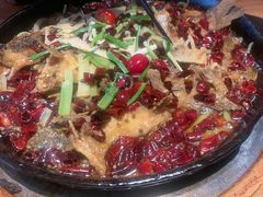 -老板恋上鱼(恒隆广场店)