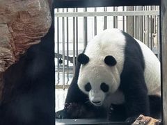 -石家庄市动物园