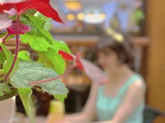 -AFS Cafe & Canteen(闽江二路店)