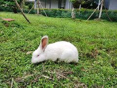 -雅安楠水阁温泉酒店