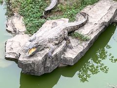 -南昌动物园