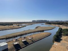 -春花秋色城市公园