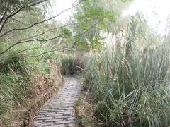 -梁鸿国家湿地公园