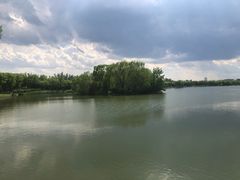 -大兴滨河森林公园